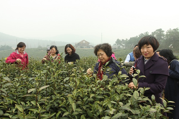 伟德BETVlCTOR1946源于英国举办“品特色文化，寻生态乡村”主题实践活动